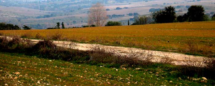 caminos18.jpg