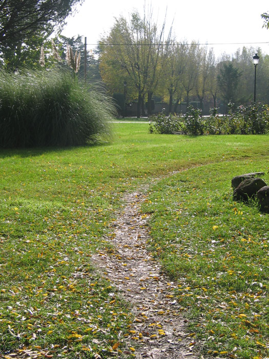 caminos3.jpg