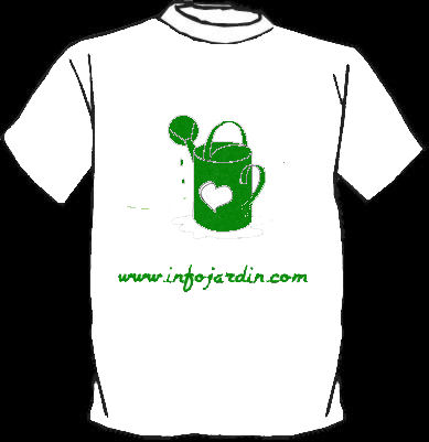 camiseta.jpg