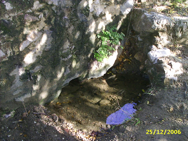 campo_064.jpg