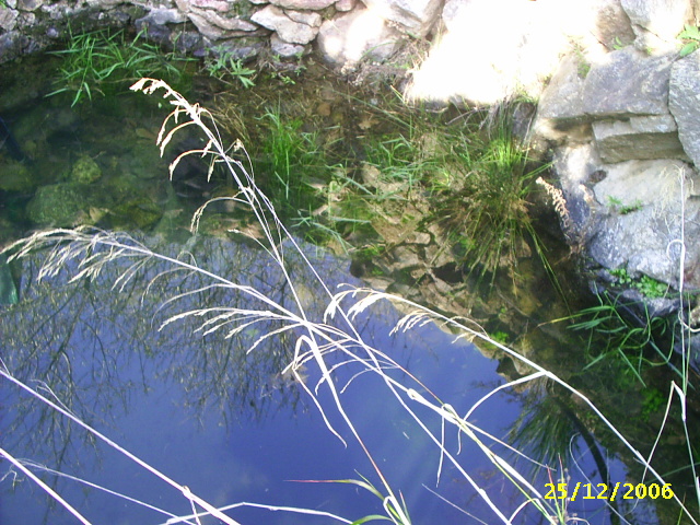 campo_071.jpg