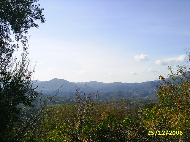 campo_084.jpg