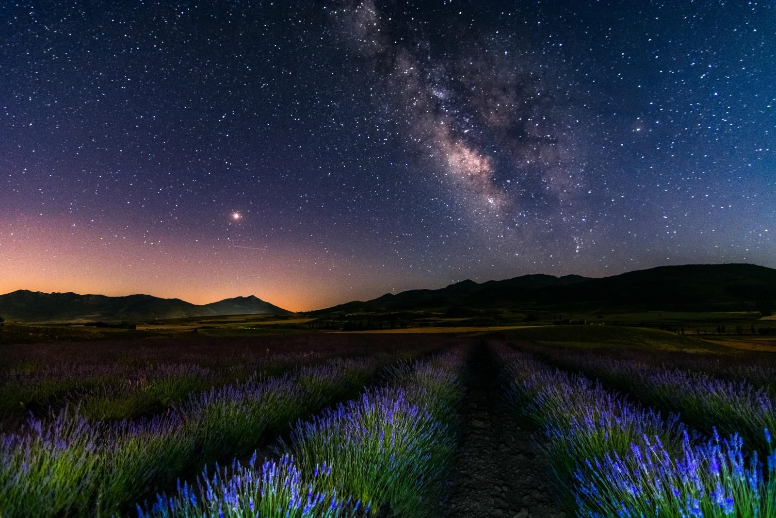 campos-de-lavanda-bajo-la-marte-y-la-via-lactea-moratalla-murcia-stockpack-adobe-stock-scaled.jpg