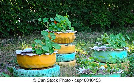 can-stock-photo_csp10040453.jpg