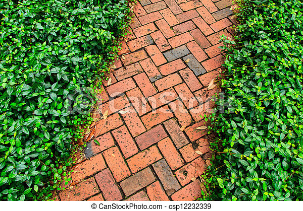 can-stock-photo_csp12232339.jpg