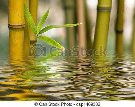 can-stock-photo_csp1469332.jpg