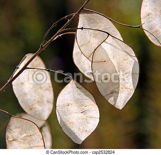 can-stock-photo_csp2532824.jpg
