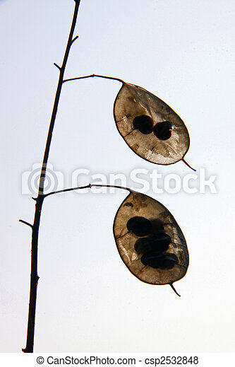 can-stock-photo_csp2532848.jpg