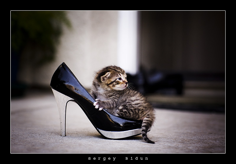 Can_I_Get_a_Different_Size____by_sergey1984.jpg