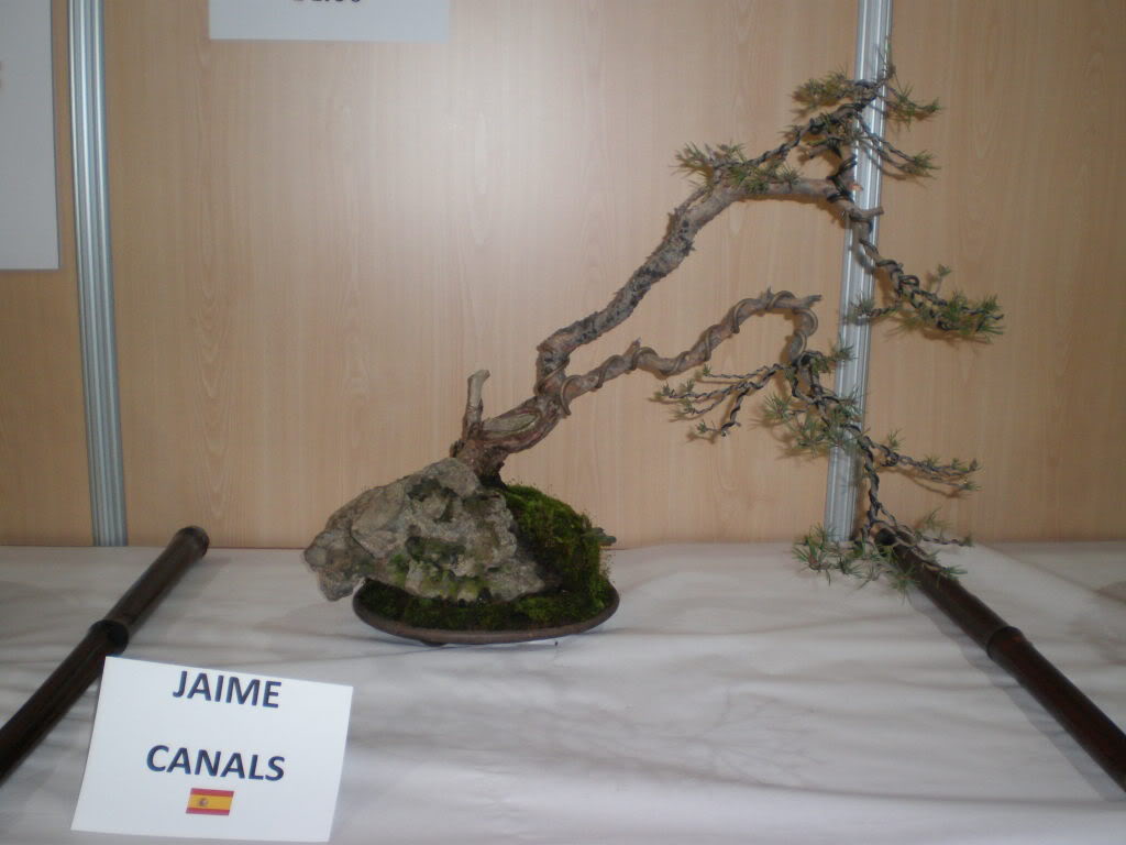 Canals_fin.jpg