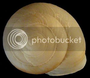 CanaPlutAp1Fo_zps0f62675f.jpg