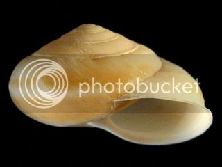 CanaPlutFr2Fo_zps7504eba3.jpg
