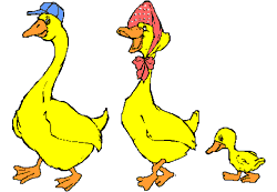 canards-14.gif