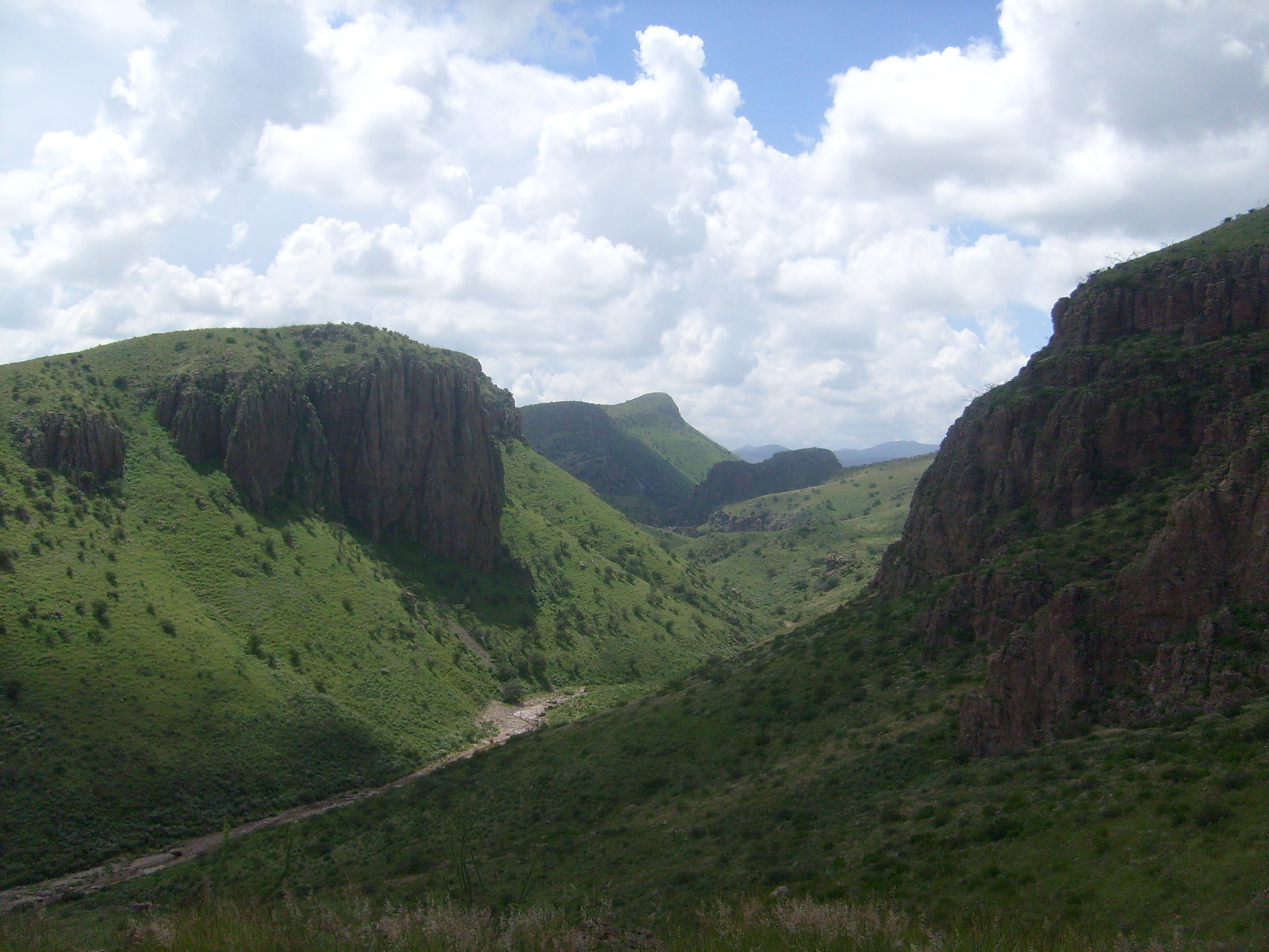 Cañon-del-Ganso-Localidad-tipo-Chihuahua-MX.jpg