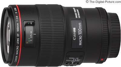 Canon-EF-100mm-f-2.8-L-IS-USM-Macro-Lens.jpg