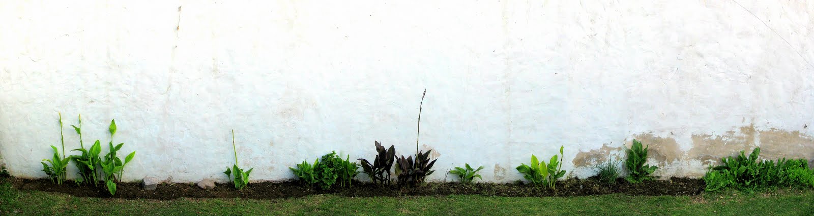 Canterio%2520izquierdo2.jpg