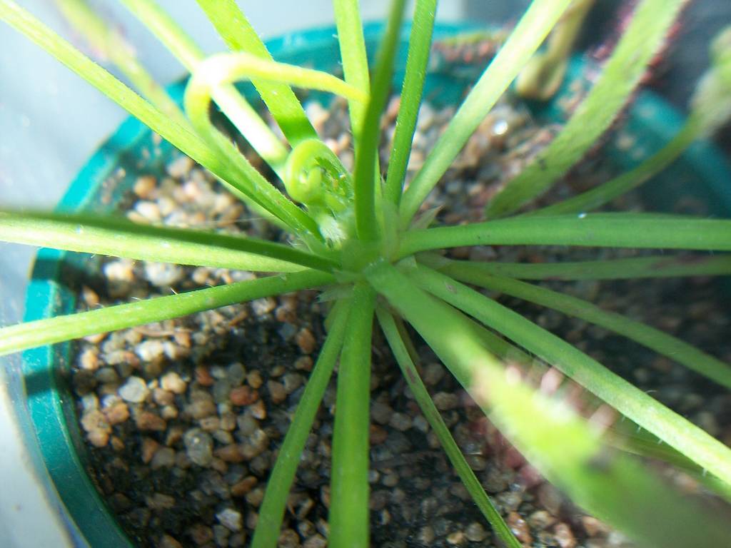 cap24_zpsc65e2798.jpg