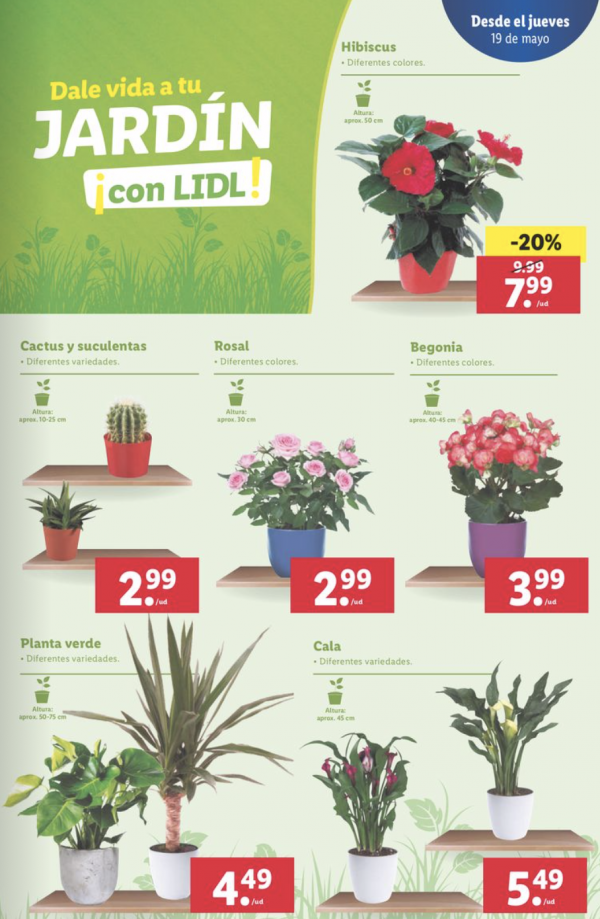 Captura-3-de-pantalla-2022-05-14-a-las-17-58-29.png