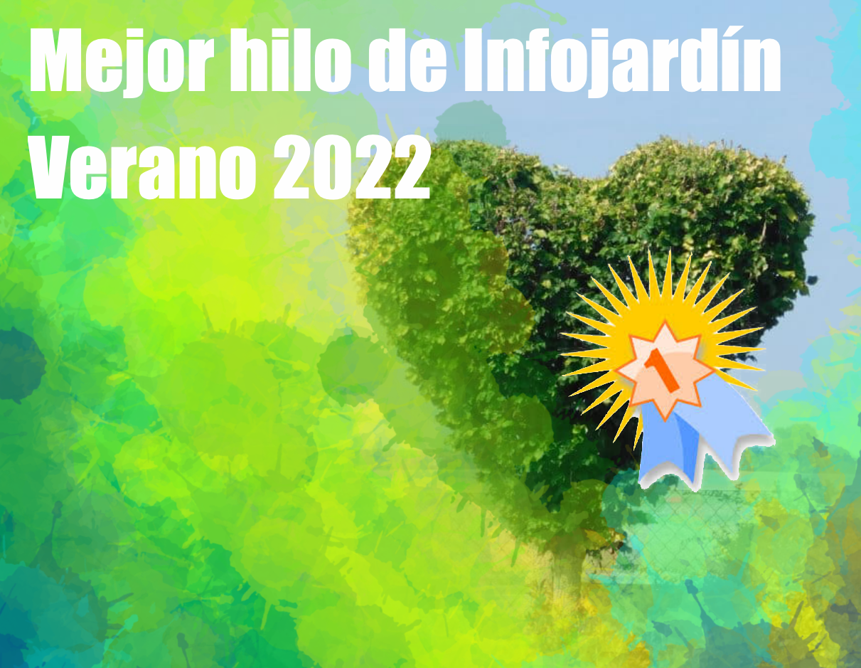 Captura-de-pantalla-2022-08-10-a-las-1-02-56.png