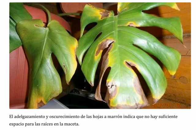 Captura-de-pantalla-2022-11-30-a-las-9-19-02.png
