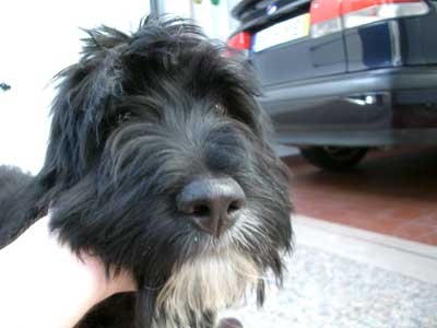 Carita.jpg