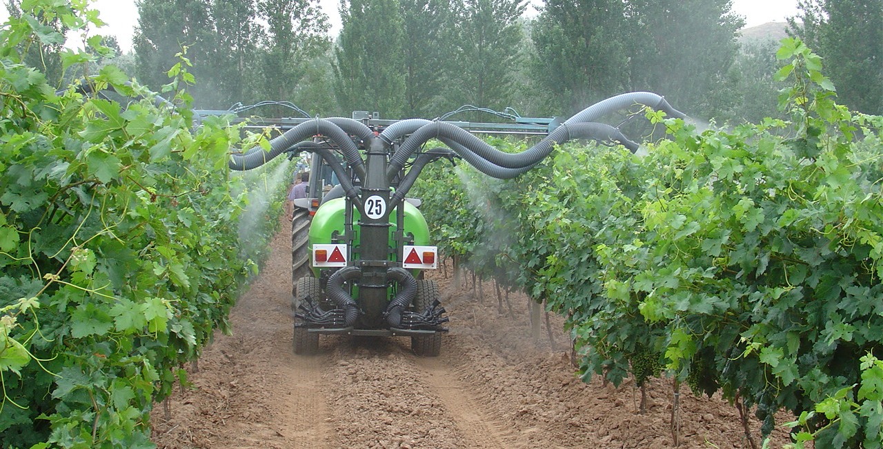 carrofitos.jpg