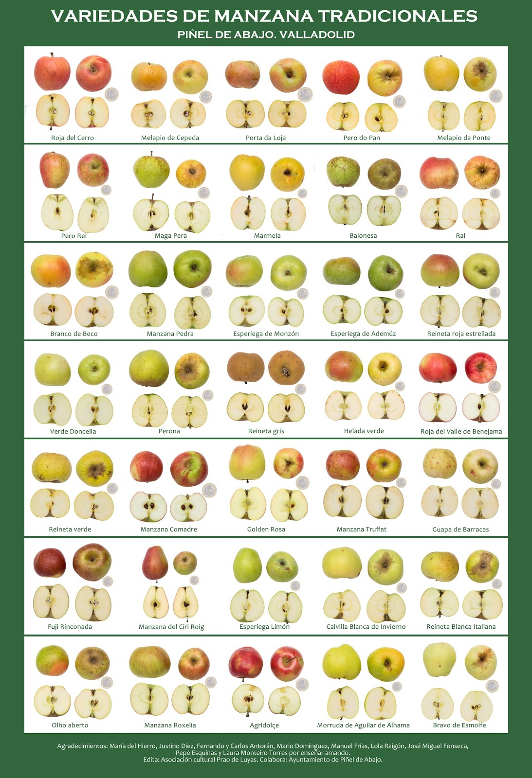 Cartel%2Bmanzanas.jpg