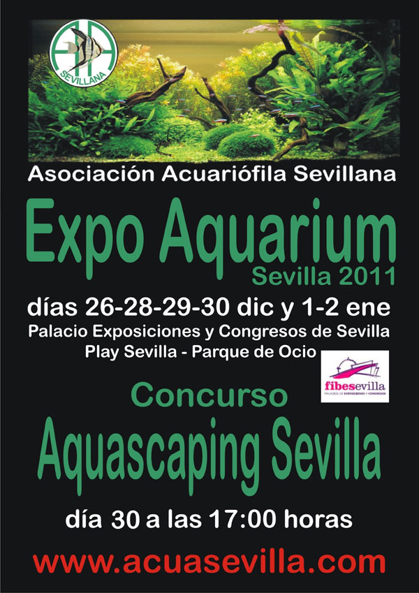 Cartel-Expo-Tiendas-A-4.jpg