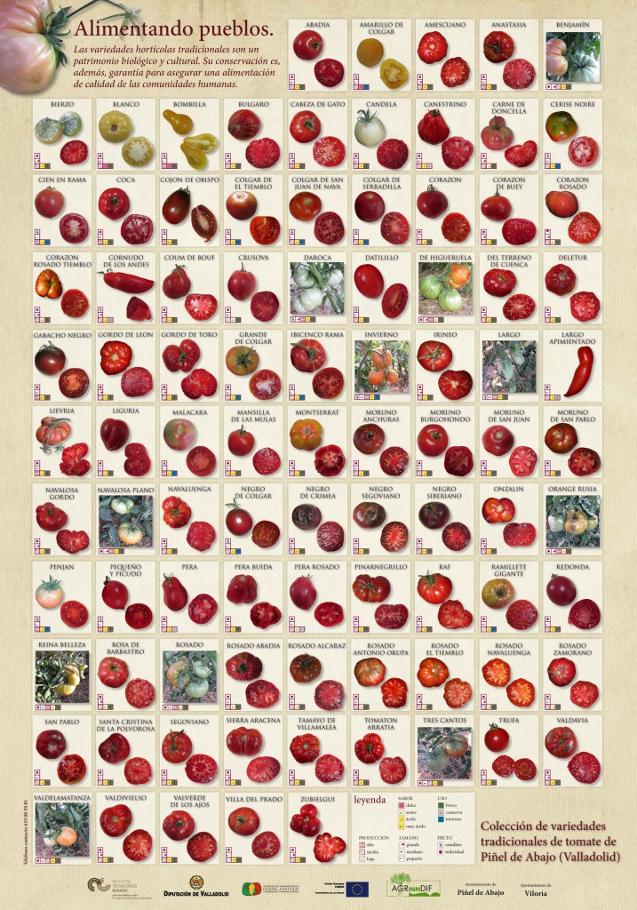 CARTEL-TOMATES-VARIEDADES-717x1024.jpg