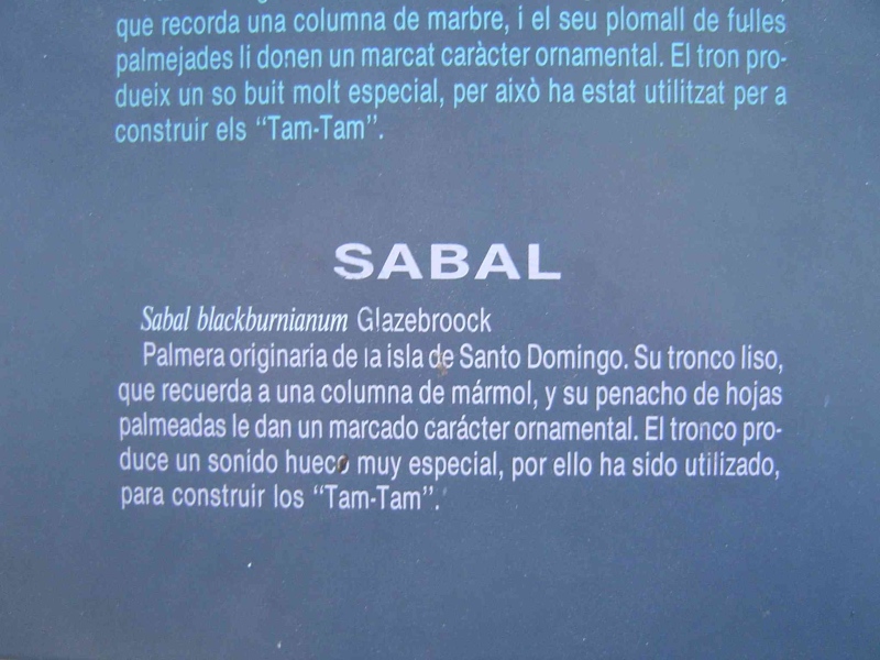 CartelSabal.jpg