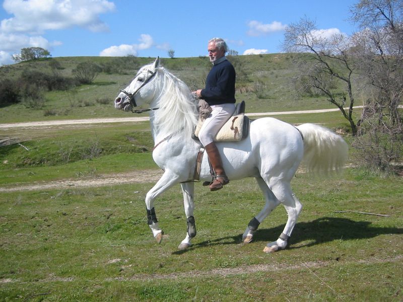 carupeq.jpg