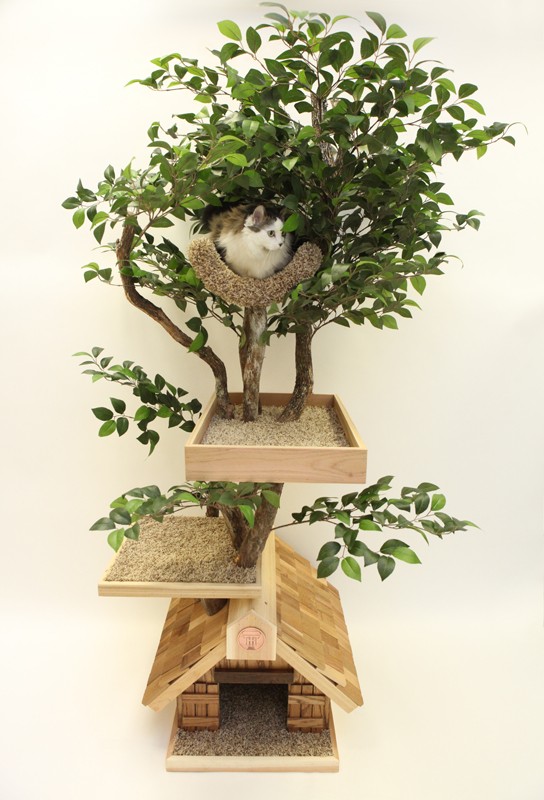 casa-arbol.jpg