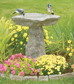 casa+pajaritos+Ba%C3%B1o-pajaros.jpg
