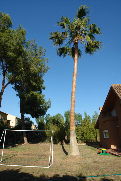 casa4.jpg