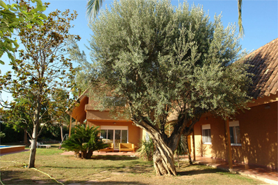 casa8%7E0.jpg