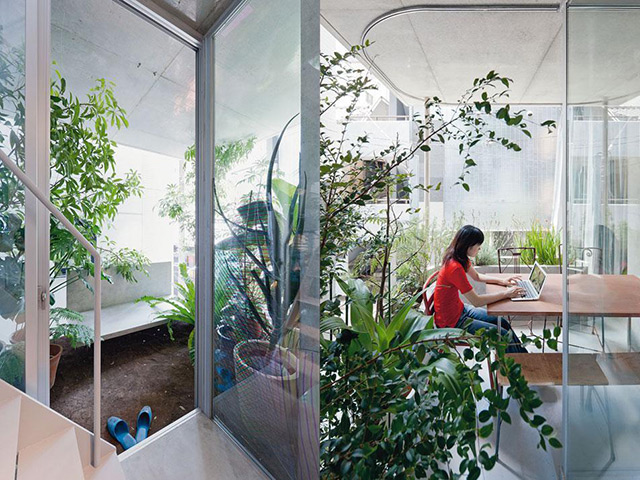 casa_jardin_2.jpg