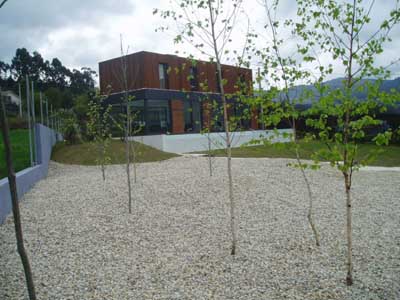 casatrasarbolesf.jpg