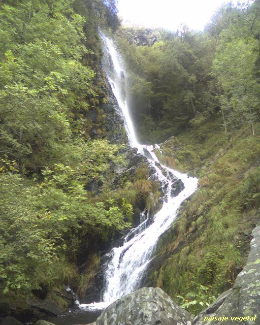 Cascada+Seimeira+30+m.JPG