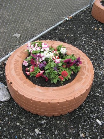 cashel-street.jpg