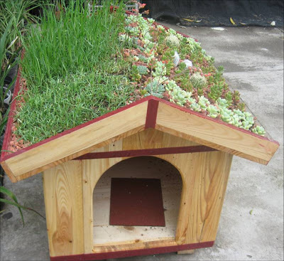 casita+de+perro.jpg