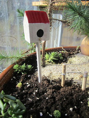 casita+pajaros+en+miniatura+(2).jpg