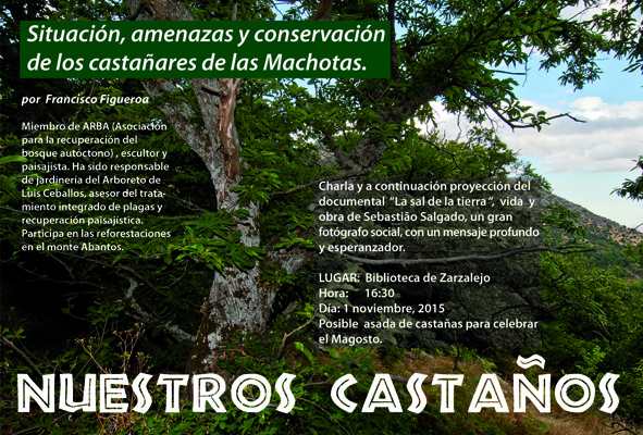 Casta%25C3%25B1os.jpg
