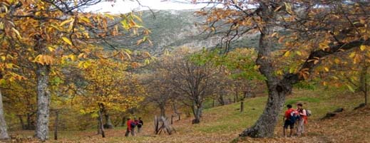castanares2.jpg