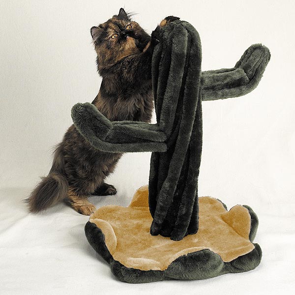 cat_cactus-lg.jpg