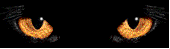 cateyes.gif