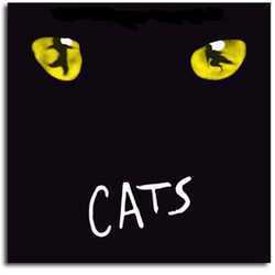 CATS-4.jpg