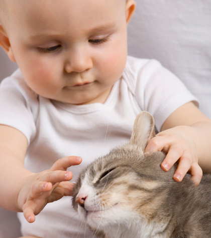 catsandbubs_main-420x0.jpg