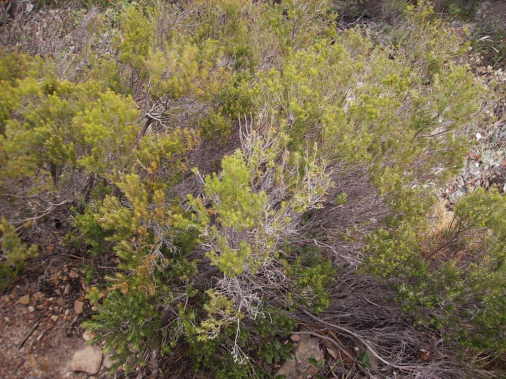 Caxo%20excursion%20055.jpg