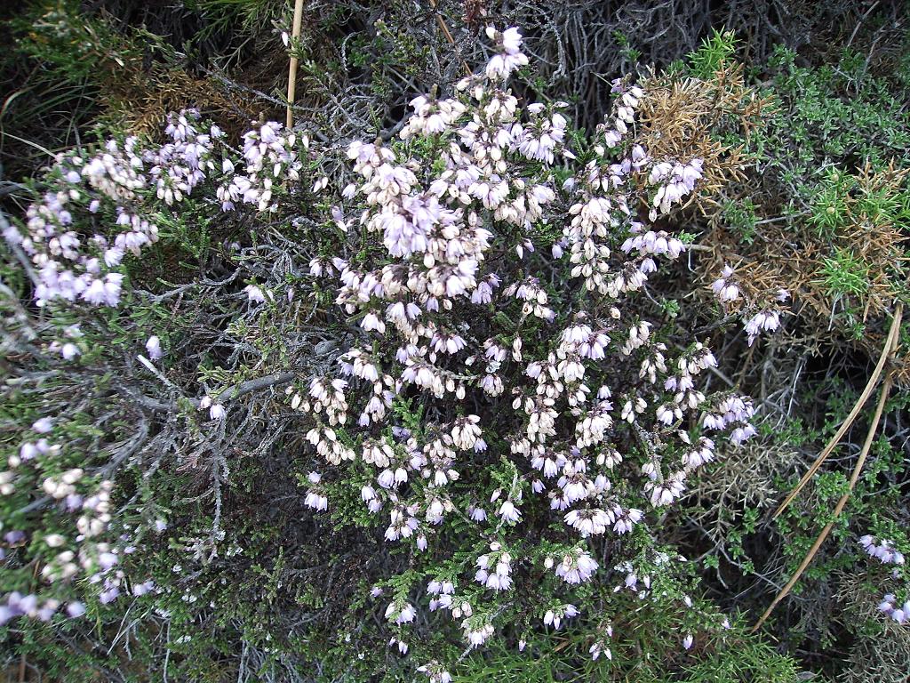 Caxo%20excursion%20058.jpg