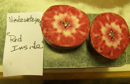 cc41784314c51ff023edb0a072575a9e?AccessKeyId=158A75E19A14EF2292F3&disposition=0&alloworigin=1.jpg